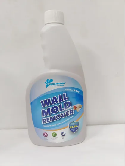 Wall Mold Remover